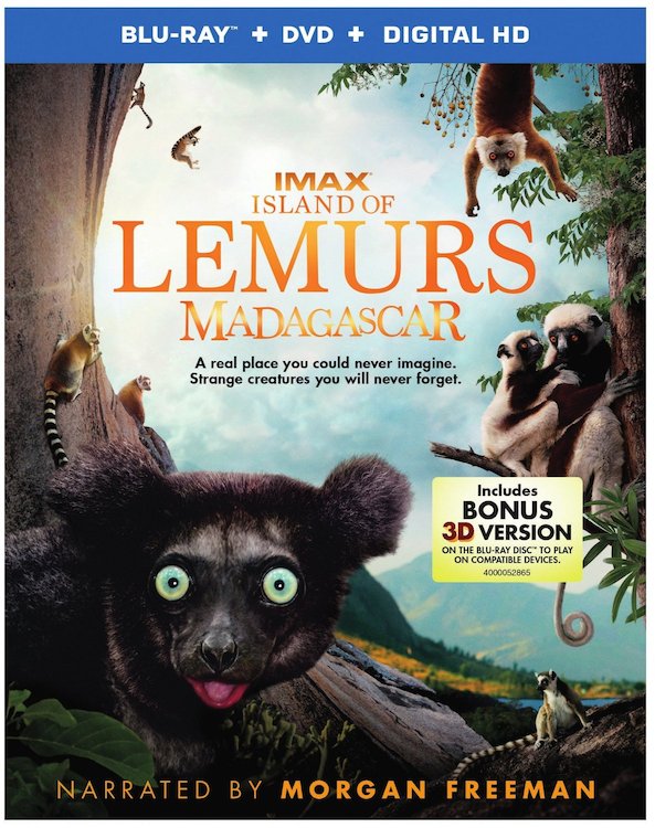 lemurs